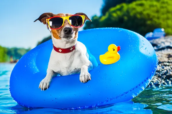 Fun Experiences for the Summer in Nolensville, TN
